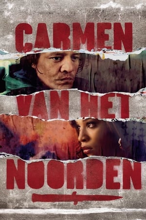 Poster Carmen van het Noorden 2009