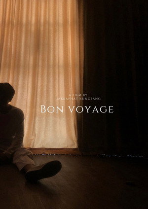 Bon Voyage 3