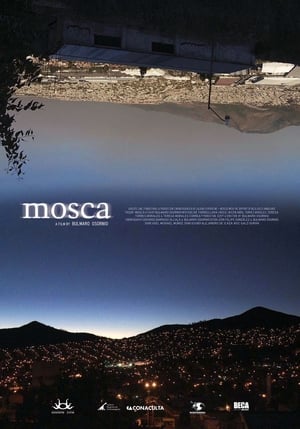 Image Mosca