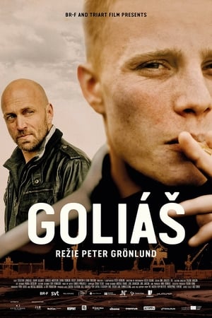 Poster Goliáš 2019