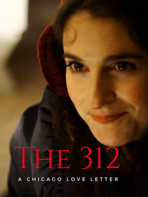 Poster The 312 (2017)