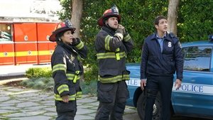 Station 19 1 x Episodio 9