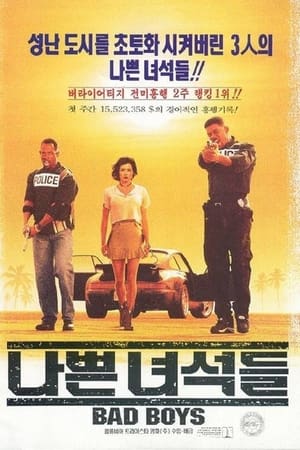 나쁜 녀석들 (1995)