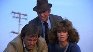 Hart to Hart: 2×8