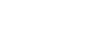 6 Dias