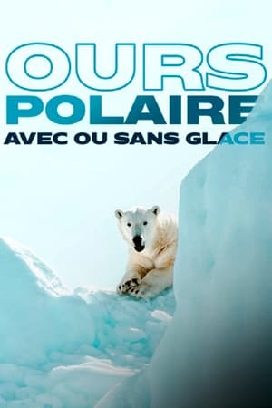 Image Ours polaire, avec ou sans glace ?