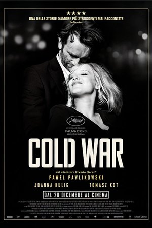 Poster Cold War 2018