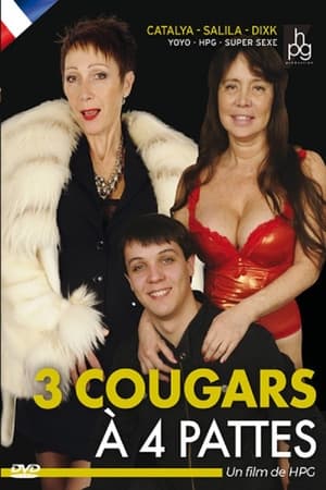 Poster 3 Cougars à 4 Pattes (2013)