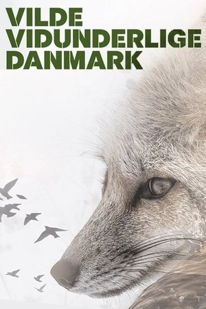 Wild and Wonderful Denmark (2020) | Team Personality Map