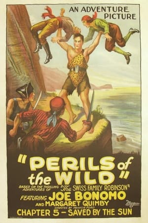 Poster Perils of the Wild 1925