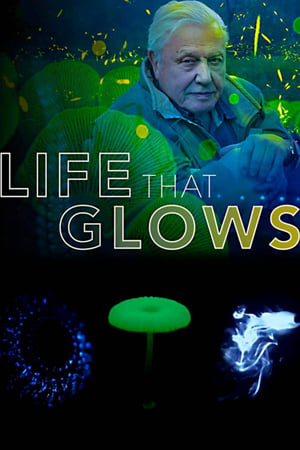 Image David Attenborough a živé světlo