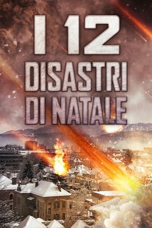 Poster I 12 disastri di Natale 2012