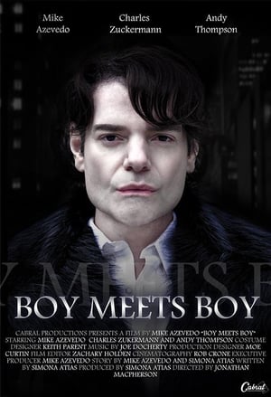 Poster Boy Meets Boy (2015)
