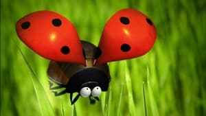 Image The Ladybug