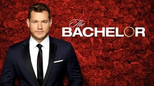 poster The Bachelor