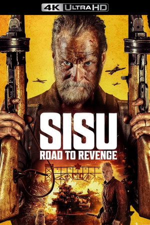 poster Sisu: Road to Revenge
