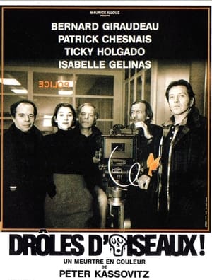 Poster Drôles d'oiseaux 1993