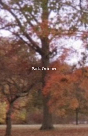 Park, October