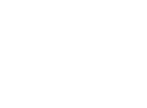 Andi — logo