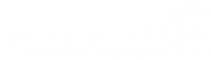 Amadeus — Logos 6