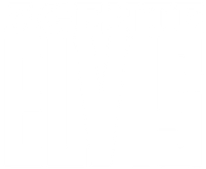 Agent Elvis — Logos 9