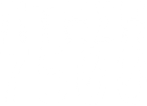 Flight 7500 — Logos 2