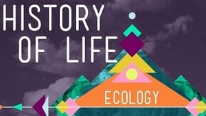 Crash Course Ecology The History of Life on Earth