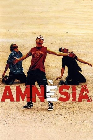 Poster Amnèsia (2002)