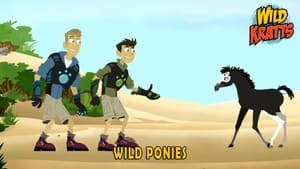 Wild Kratts Wild Ponies