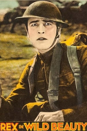 Poster Wild Beauty (1927)