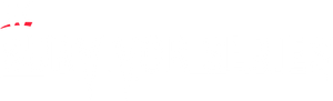 WWE Survivor Series 2014