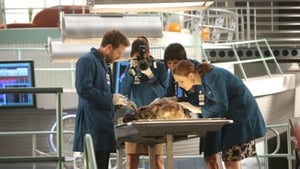 Bones 9 – Episodio 6