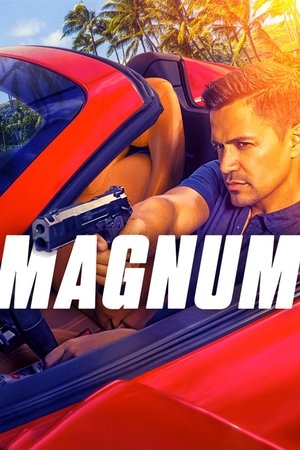 Poster Magnum Saison 3 Retour à l'envoyeur 2021