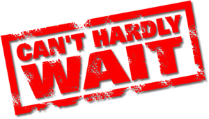 Can't Hardly Wait