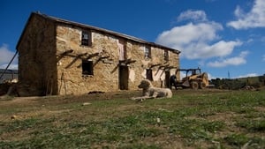 Restoration Australia Gervasoni Homestead