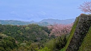 Journeys in Japan: 15×11