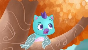 Hatchimals: Adventures in Hatchtopia: 1×5