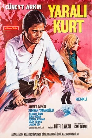 Poster The Wounded Wolf (1972)