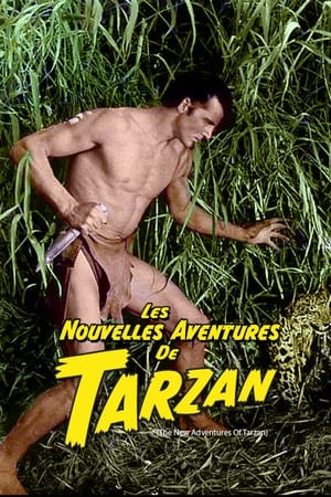 Image Les nouvelles aventures de Tarzan