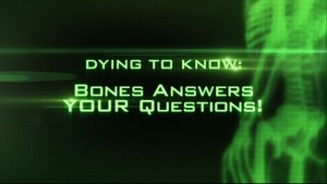 Image Dying To Know: Bones Answers Your Questions