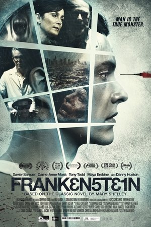 Frankenstein (2015) | Team Personality Map