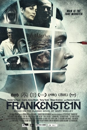 Poster Frankenstein 2015