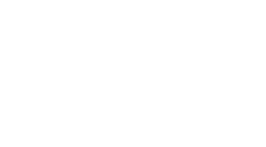 O Auto da Compadecida 2