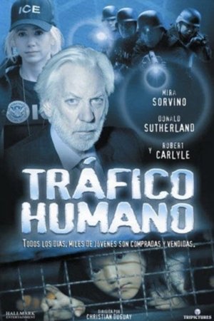 Tráfico humano