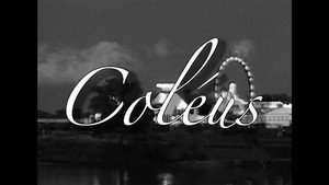 Col&eacute;us