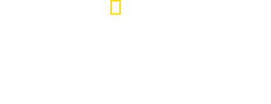 /kSVWfn6vHxh4RiD7tE8JxVzo1K8.png