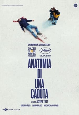 Poster Anatomia di una caduta 2023