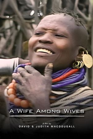 A Wife Among Wives (1981)