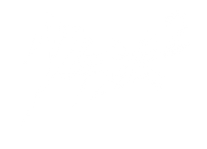 少年派 — Logos 5