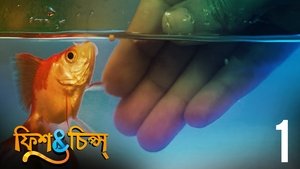 Épisode 1